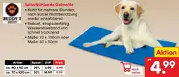 Netto Marken-Discount BUDDY Z Selbstkühlende Gelmatte Angebot