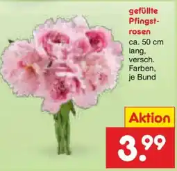 Netto Marken-Discount gefüllte Pfingstrosen Angebot