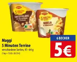 Famila Nord Ost Maggi 5 Minuten Terrine Angebot