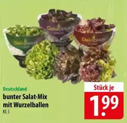 Famila Nord Ost Deutschland bunter Salat-Mix mit Wurzelballen Angebot