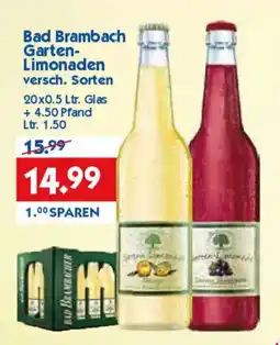 Hol'ab Getränkemarkt Bad Brambach Garten Limonaden Angebot