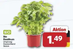 Famila Nord West Bio Basilikum Angebot