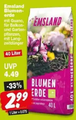 Repo Markt Emsland Blumenerde Angebot
