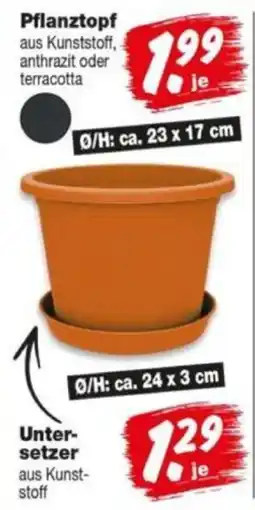 Repo Markt Pflanztopf Angebot