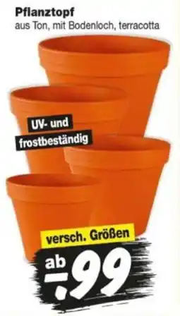Repo Markt Pflanztopf Angebot