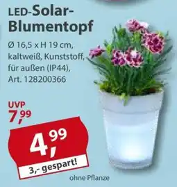 Sonderpreis Baumarkt LED-Solar Blumentopf Angebot