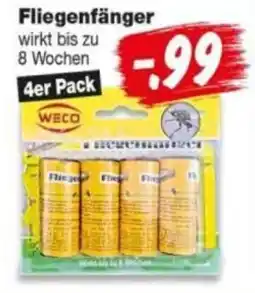 Repo Markt WECO Fliegenfänger Angebot