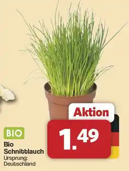 Famila Nord West Bio Schnittlauch Angebot