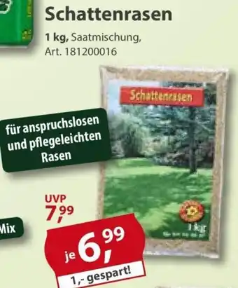 Schattenrasen