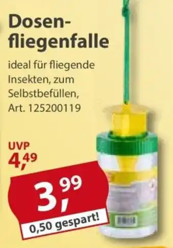 Sonderpreis Baumarkt Dosenfliegenfalle Angebot