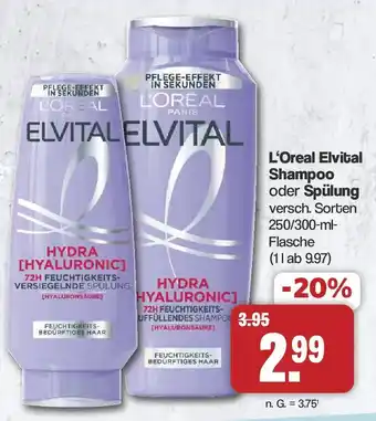 Famila Nord West L'Oreal Elvital Shampoo oder Spülung Angebot