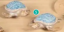 Famila Nord Ost Schildkröte Angebot