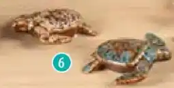 Famila Nord Ost Schildkröte Angebot