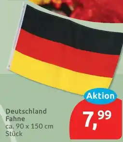 Budni Deutschland fahne Angebot