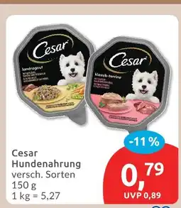 Budni Cesar hundenahrung Angebot