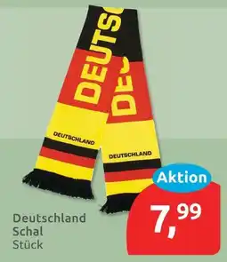 Budni Deutschland schal Angebot
