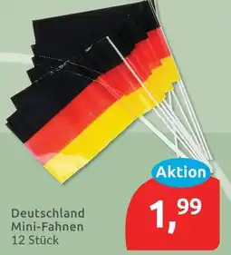 Budni Deutschland mini-fahnen Angebot