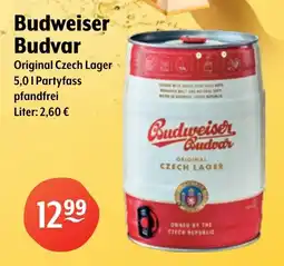 Getränke Hoffmann Budweiser Budvar Original Czech Lager Angebot