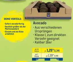 METRO Avocado Angebot