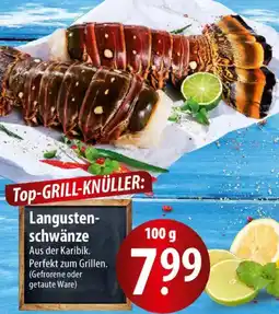 Famila Nord Ost Langustenschwänze Angebot