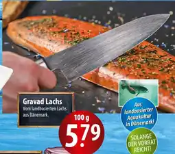 Famila Nord Ost Gravad Lachs Angebot
