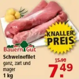 Multi Markt Bauern Gut Schweinefilet Angebot