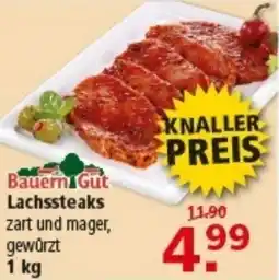 Multi Markt Bauern Gut Lachssteaks Angebot