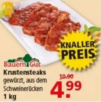 Multi Markt Bauern Gut Krustensteaks Angebot