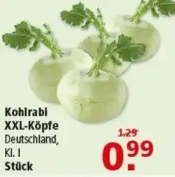 Multi Markt Kohlrabi XXL-Köpfe Angebot