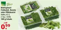 Multi Markt EDEKA Bio Blattspinat/ Feldsalat, Rucola oder Pflücksalat Angebot