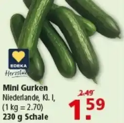 Multi Markt Mini Gurken Angebot