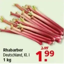 Multi Markt Rhabarber Angebot
