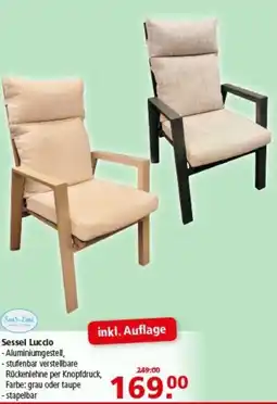 Multi Markt Sessel Luccio Angebot