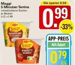 WEZ Maggi 5 Minuten Terrine Angebot