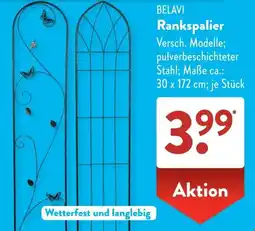 Aldi Süd BELAVI Rankspalier Angebot