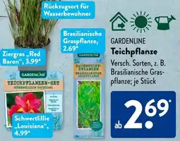 Aldi Süd GARDENLINE Teichpflanze Angebot