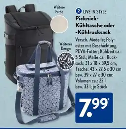 Aldi Süd Picknick Kühltasche oder Kühlrucksack Angebot
