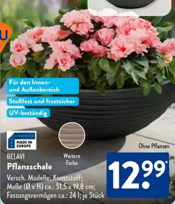 Aldi Süd BELAVI Pflanzschale Angebot
