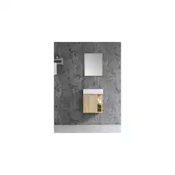 Netto Marken-Discount Sanotechnik Spring 50x60cm braun Unterschrank + WT + Spiegel - versch. Auführungen Angebot