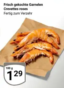 Globus Frisch gekochte Garnelen Crevettes roses Angebot