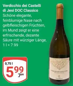 Globus Verdicchio dei Castelli di Jesi DOC Classico Angebot