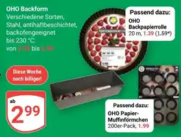 Globus OHO Backform Angebot