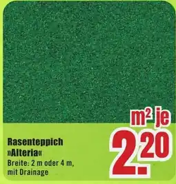 B1 Discount Baumarkt Rasenteppich Alteria Angebot