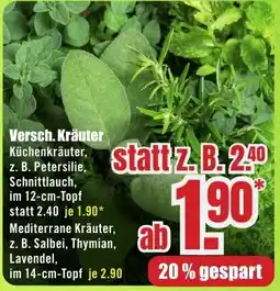 B1 Discount Baumarkt Versch. Kräuter Angebot