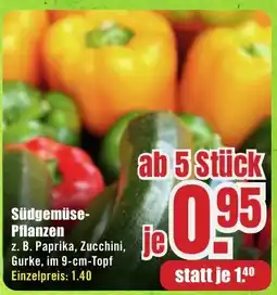 B1 Discount Baumarkt Südgemüse- Pflanzen Angebot
