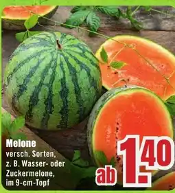 B1 Discount Baumarkt Melone Angebot