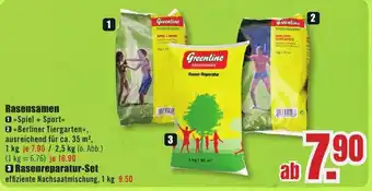 B1 Discount Baumarkt greenline Rasensamen Angebot