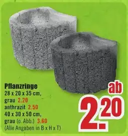 B1 Discount Baumarkt Pflanzringe Angebot