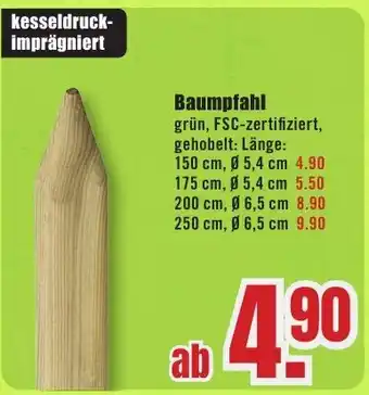 B1 Discount Baumarkt Baumpfahl Angebot