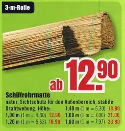 B1 Discount Baumarkt Schilfrohrmatte Angebot